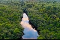 Timberland Property for sale in Bay County, Florida