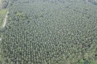 Land for sale in Panola County, Texas