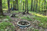 Undeveloped Land for sale in Clare County, Michigan