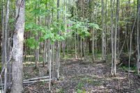 Undeveloped Land for sale in Emmet County, Michigan