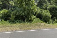 Land for sale in Marshall County, Mississippi