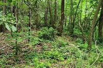 Land for sale in Polk County, Tennessee