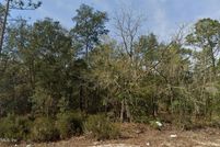 Undeveloped Land for sale in Putnam County, Florida