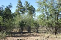 Farm and Ranch for sale in Navajo County, Arizona