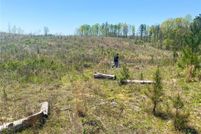 Land for sale in Lee County, Alabama