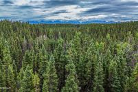 Land for sale in Kenai Peninsula Borough, Alaska