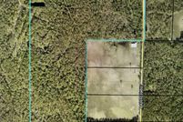 Undeveloped Land for sale in Flagler County, Florida
