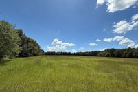 Land for sale in Titus County, Texas