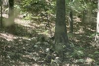 Undeveloped Land for sale in Sharp County, Arkansas