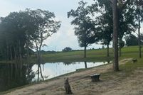 Land for sale in Geneva County, Alabama