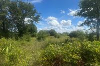 Undeveloped Land for sale in Callahan County, Texas