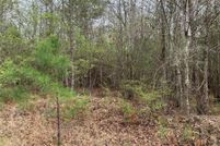 Land for sale in Bienville Parish, Louisiana