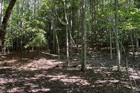 Land for sale in Union County, Georgia