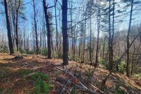 Land for sale in Haywood County, North Carolina