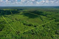 Land for sale in Clarke County, Alabama