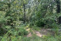 Land for sale in Lowndes County, Alabama