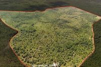 Land for sale in Levy County, Florida