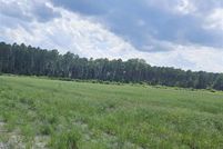 Land for sale in Dillon County, South Carolina