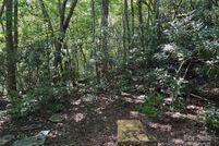 Undeveloped Land for sale in Macon County, North Carolina