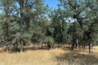 Undeveloped Land for sale in Lake County, California