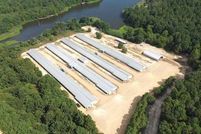 Farm and Ranch for sale in Nevada County, Arkansas