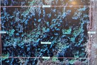 Land for sale in Taylor County, Florida