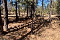 Land for sale in Coconino County, Arizona