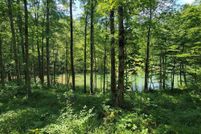 Land for sale in Winston County, Alabama