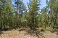 Land for sale in Citrus County, Florida