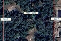 Undeveloped Land for sale in Lake County, Florida