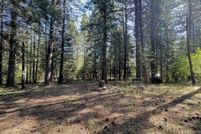 Undeveloped Land for sale in Boise County, Idaho