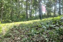 Riverfront Property for sale in Pickens County, Georgia