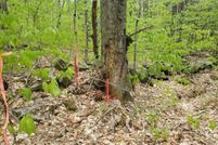 Land for sale in Cheshire County, New Hampshire