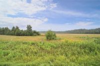 Undeveloped Land for sale in Crow Wing County, Minnesota