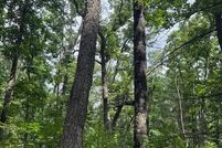 Land for sale in Newaygo County, Michigan