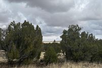 Land for sale in Navajo County, Arizona