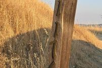 Land for sale in Madera County, California