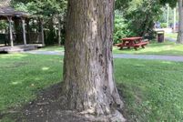 Hunting Property for sale in Otsego County, New York