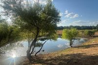 Land for sale in Montague County, Texas