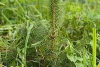 Farm and Ranch for sale in Rensselaer County, New York