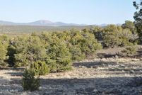 Land for sale in Apache County, Arizona