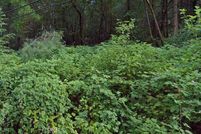 Land for sale in Lake County, California