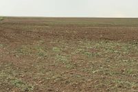 Land for sale in Cheyenne County, Colorado