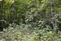 Oceanfront Property for sale in Kalkaska County, Michigan