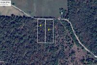 Land for sale in Titus County, Texas