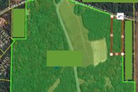 Land for sale in Sabine Parish, Louisiana