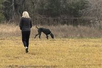 Land for sale in Hill County, Texas