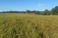 Land for sale in Henry County, Tennessee