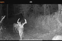 Farm and Ranch for sale in Brown County, Indiana