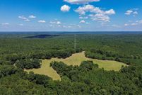 Undeveloped Land for sale in Wilcox County, Alabama